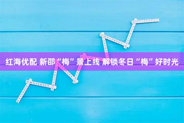 红海优配 新邵“梅”景上线 解锁冬日“梅”好时光